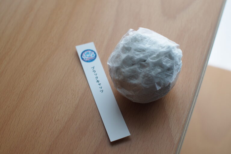 メルカリで多肉植物を買ってみた|抜き苗・カット苗の梱包と届いた状態