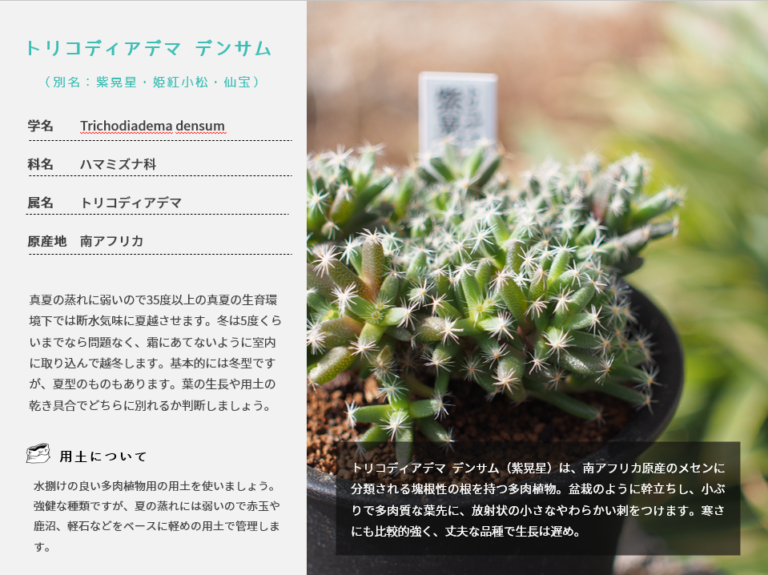 パワーポイントでおしゃれな植物育て方メモをつくってみよう