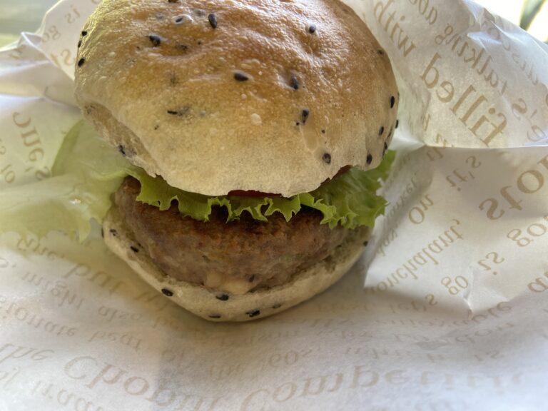 【八女郡】広川町にあるナチュラさんでランチして多肉を買ってきました！