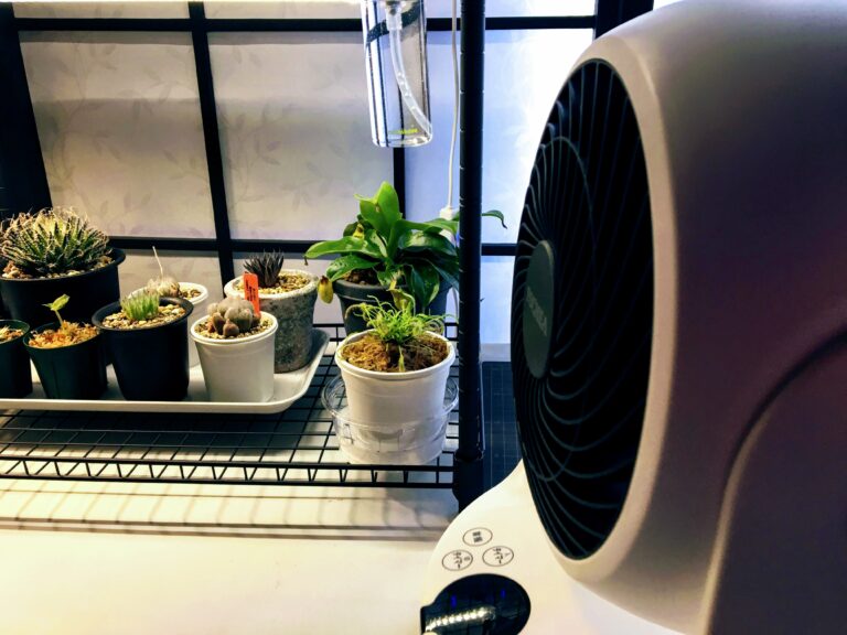 植物の夏越し準備｜屋外・屋内の植物棚とサーキュレーターを紹介