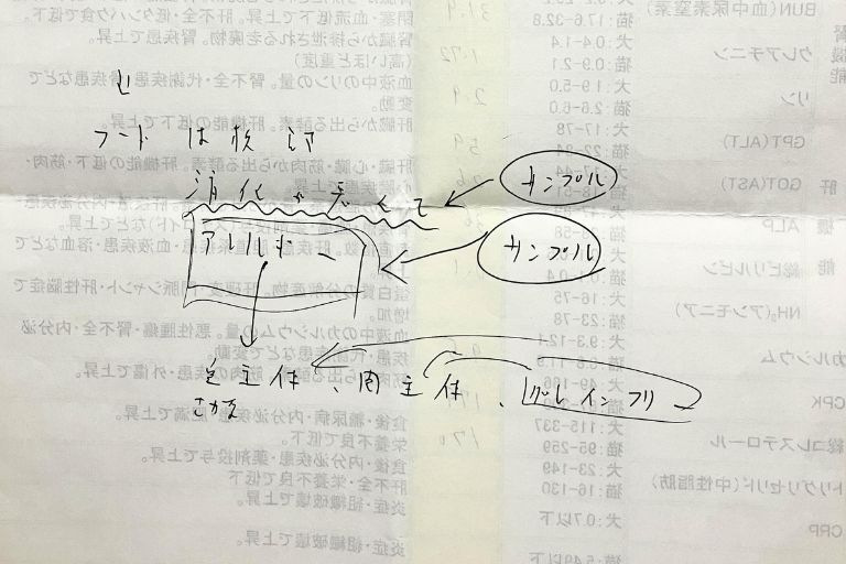 猫の吐き戻しを相談したときの先生の説明書き