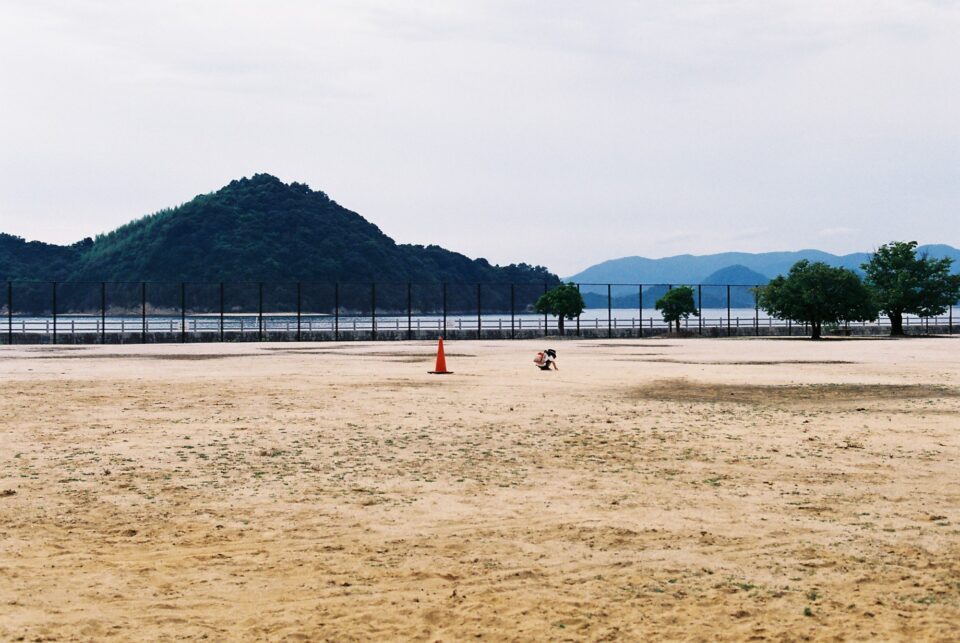 フィルムカメラで撮影した写真（大久野島）