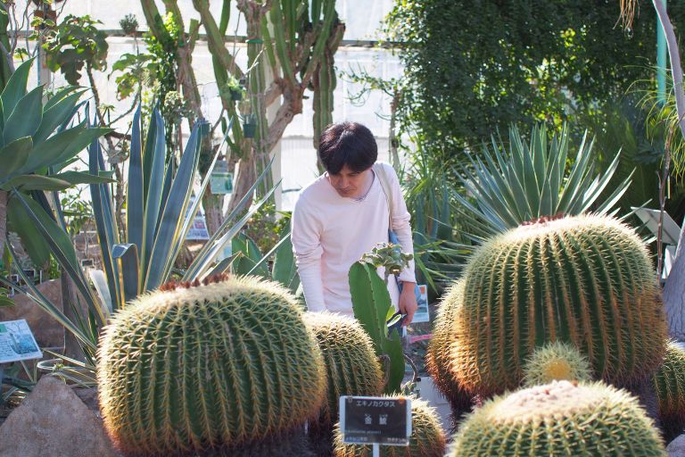 広島市植物公園のサボテン温室の中