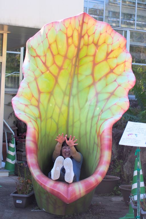 広島市植物公園のサラセニアの中に入っているところ