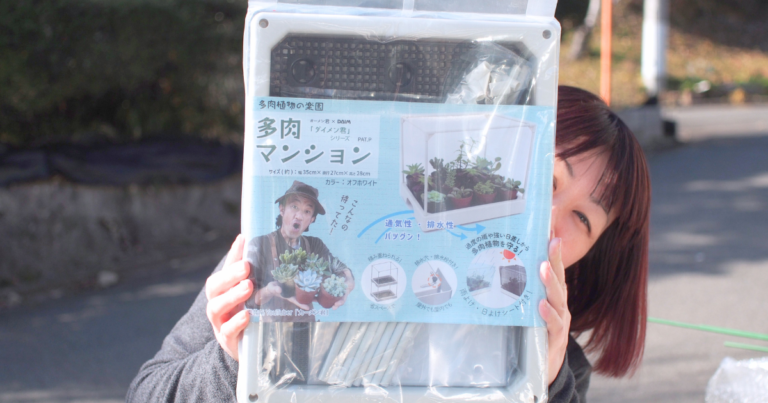 カーメン君×第一ビニール「多肉マンション」を組み立てて植え替えた食虫植物をいれてみました