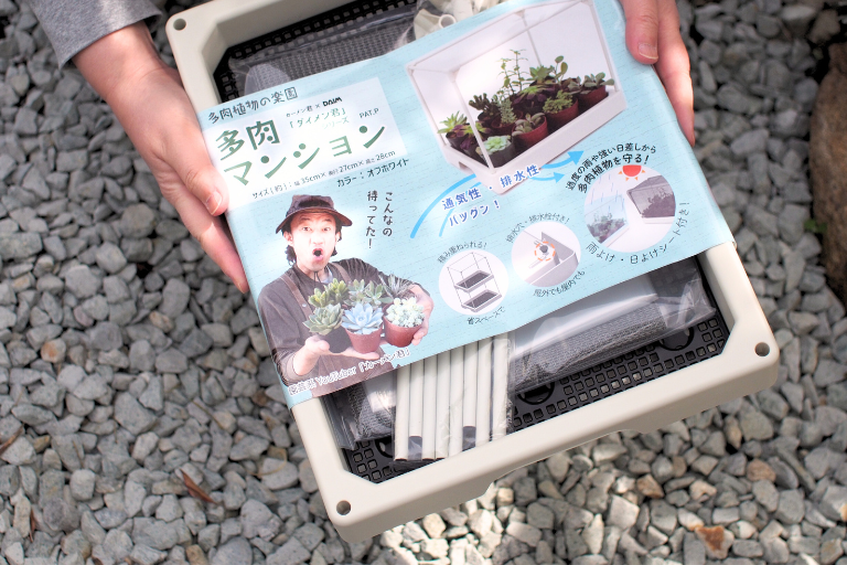 カーメン君×第一ビニール「多肉マンション」を手に持って見せているところ