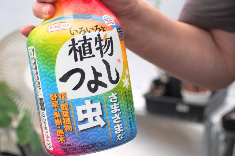 植物つよしを持っているところ