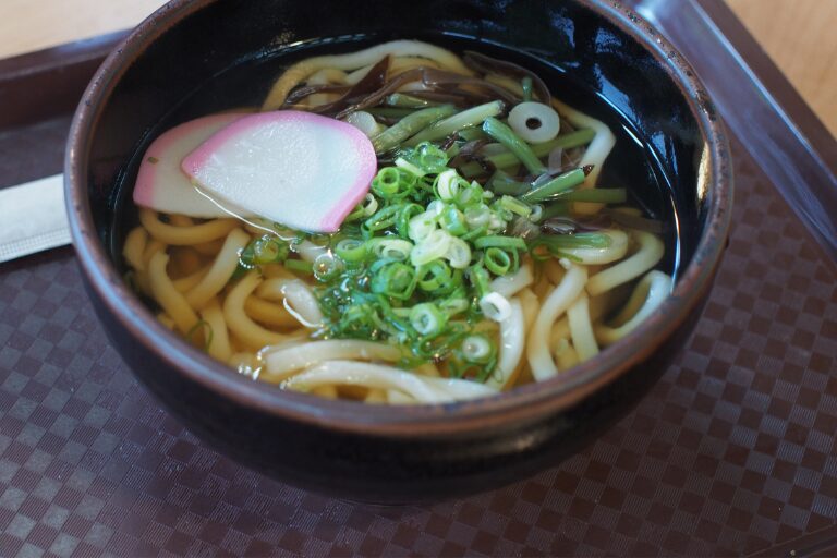 スパ羅漢の山菜うどん