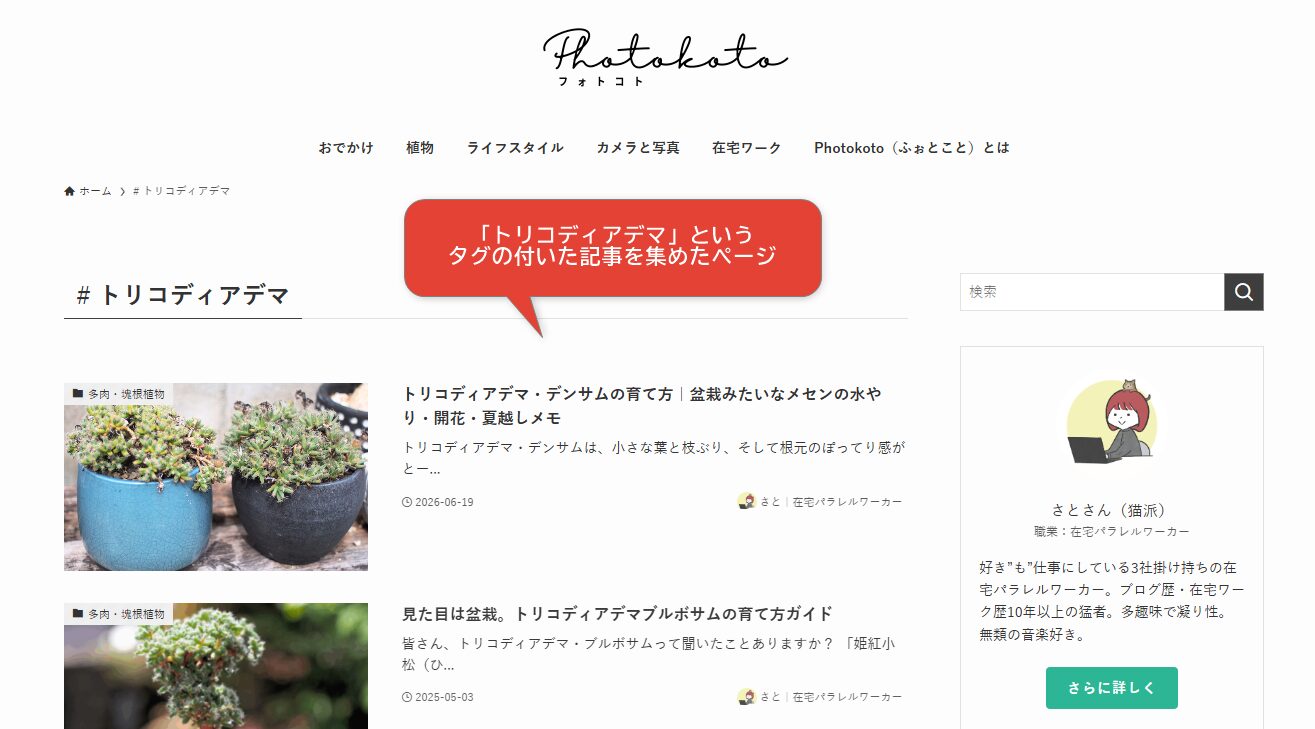 「記事が見つかりませんでした」がGoogle検索に出る原因と消し方【WordPress】
