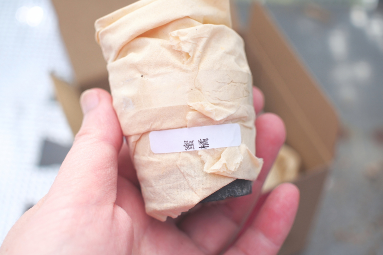 通販で購入したドロサンテマム「蜜橘」